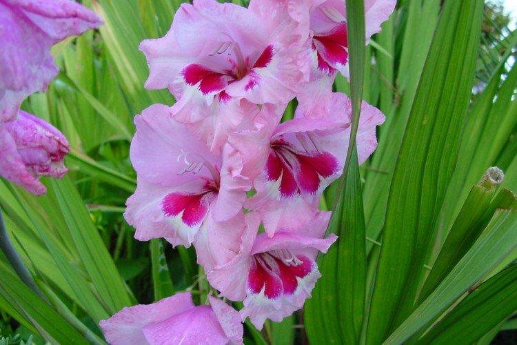 informations générales