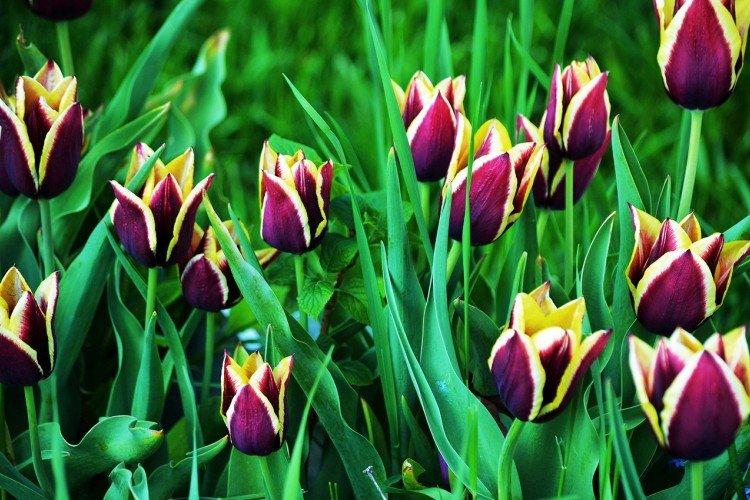 informations générales