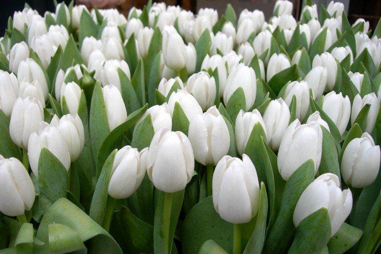 Engrais et alimentation