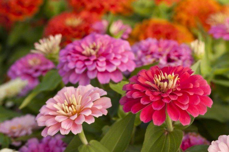 Engrais et alimentation