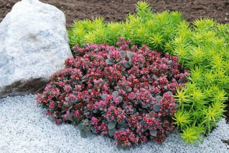 Engrais et alimentation