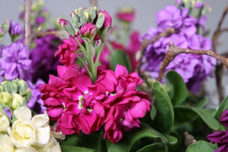 informations générales