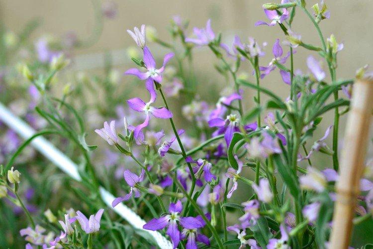 Engrais et alimentation