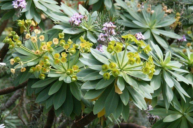 Engrais et alimentation