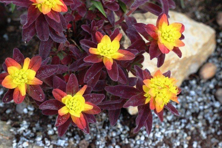 Température et éclairage