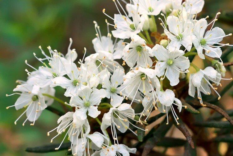 informations générales