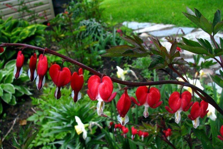 Température et éclairage