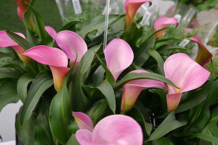 informations générales