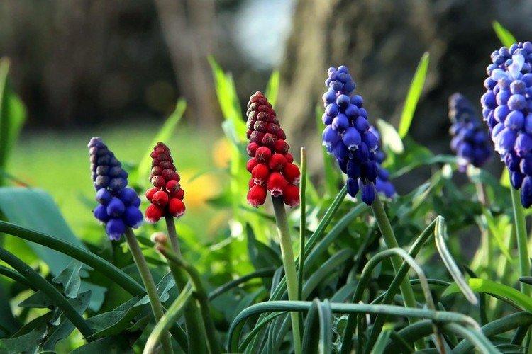 Engrais et alimentation