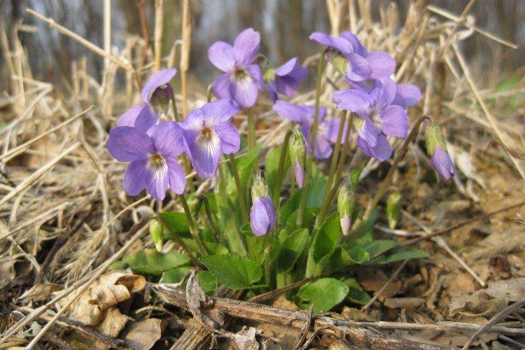 Température et éclairage