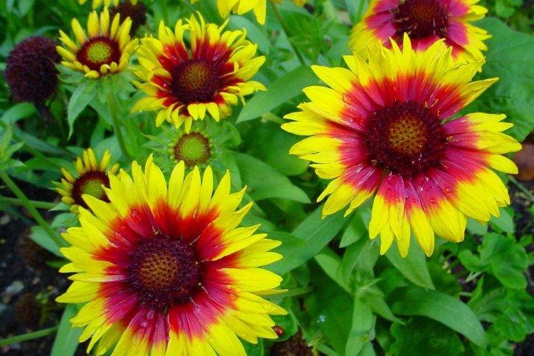 Que devez-vous savoir d'autre ?