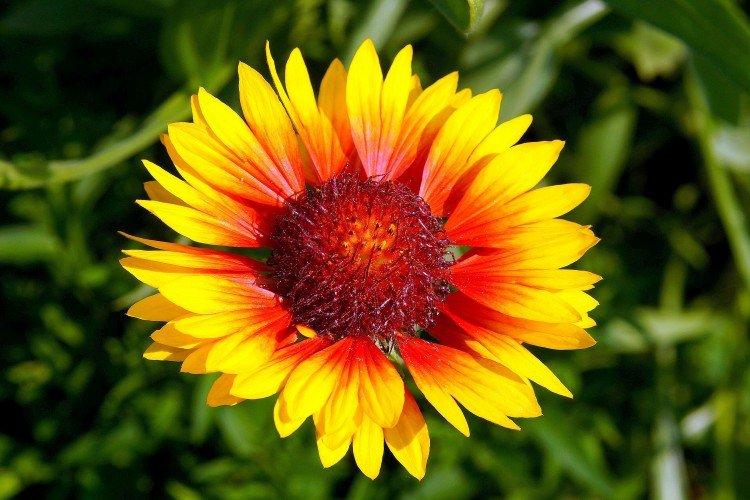 Température et éclairage