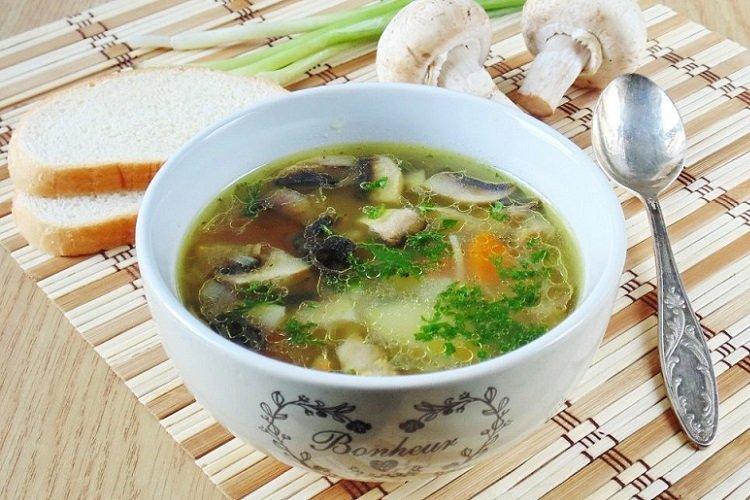 Ukha au saumon et aux champignons