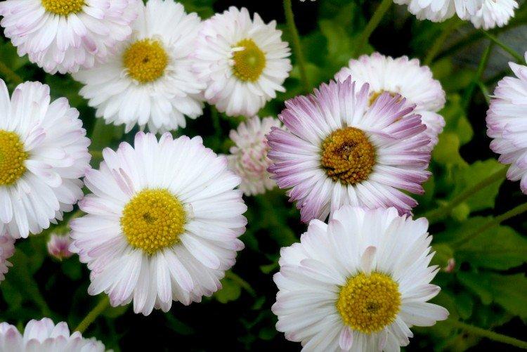 informations générales