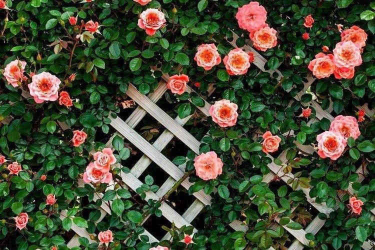 informations générales