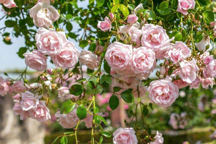 Température et éclairage