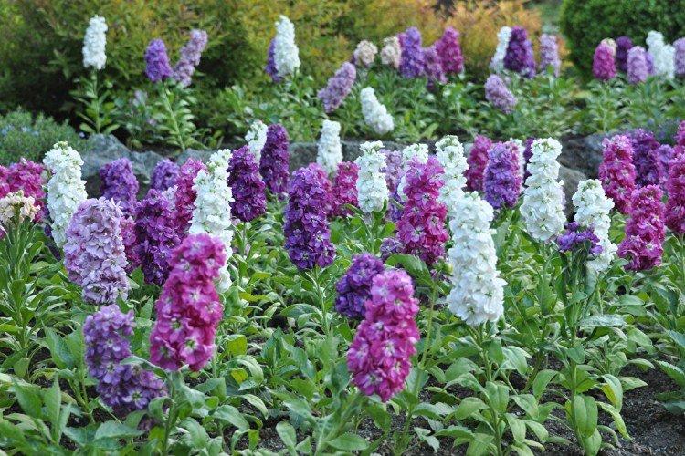 Engrais et alimentation