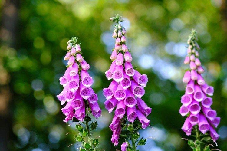 Température et éclairage