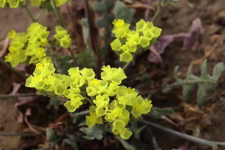 Engrais et alimentation