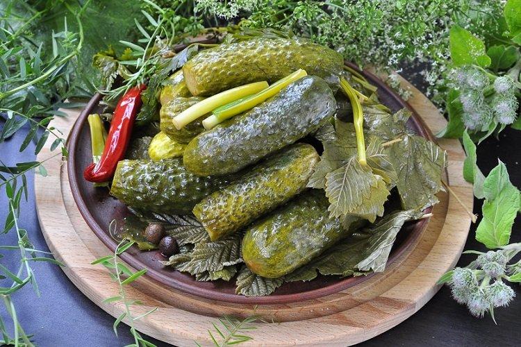 Concombres légèrement salés avec des feuilles parfumées dans un sac