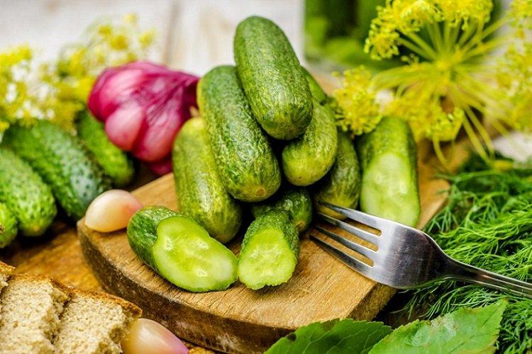 Concombres légèrement salés avec du vinaigre dans un sac