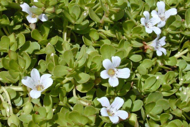 Engrais et alimentation