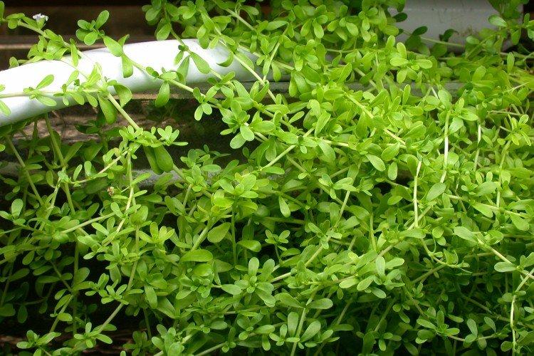 Température et éclairage