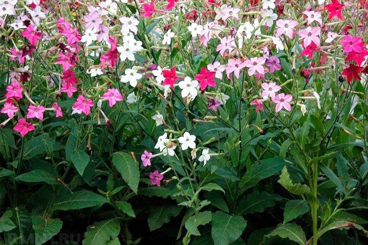 Température et éclairage