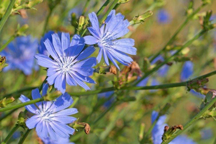 informations générales