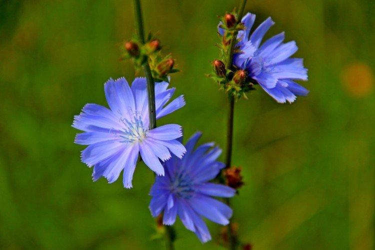 Température et éclairage