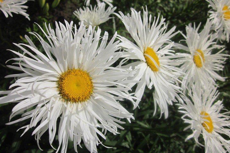 Température et éclairage