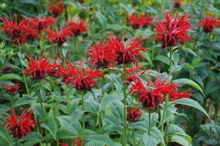 informations générales