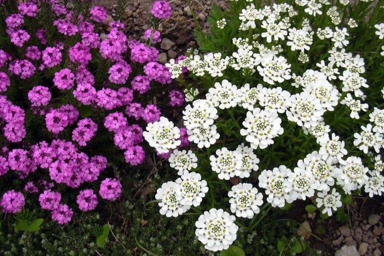 informations générales