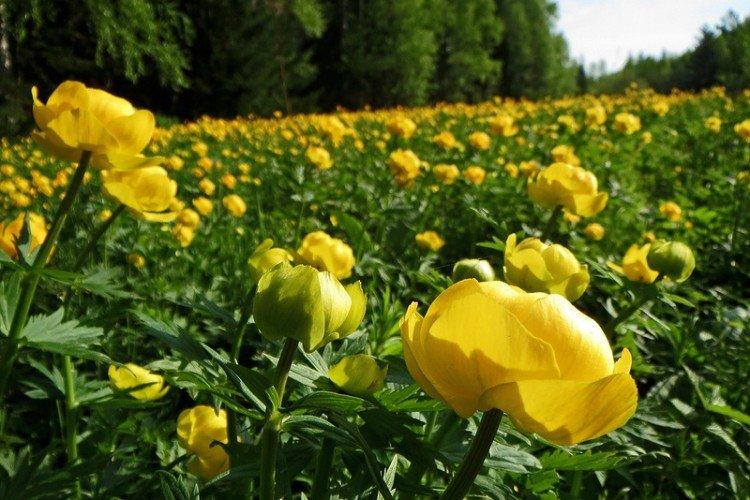 Engrais et alimentation