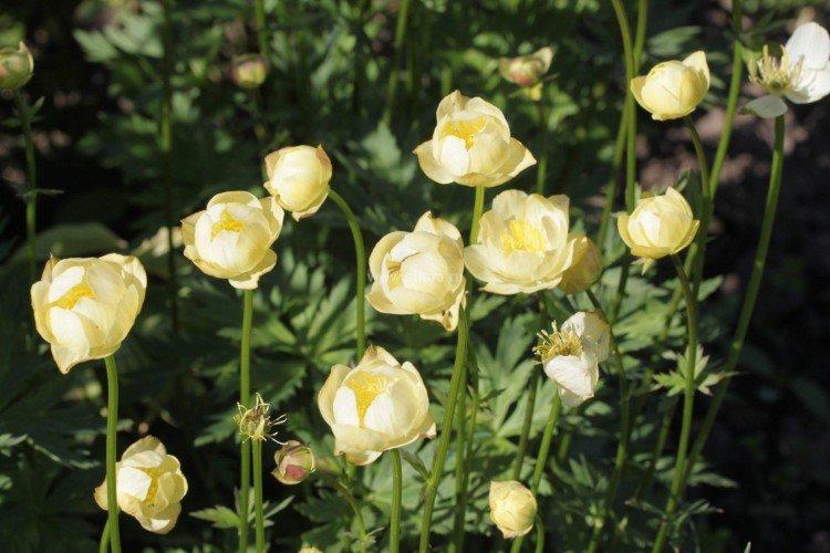 Maillot de bain - photo