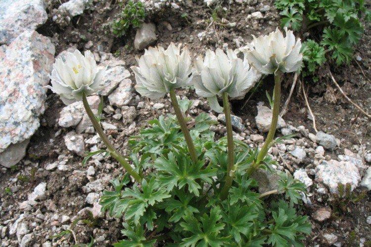 Maillot de bain - photo