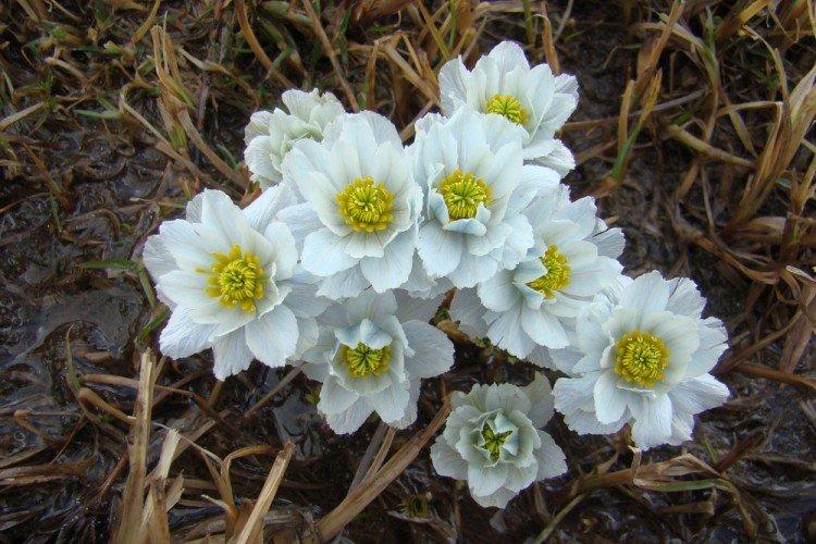 Maillot de bain - photo