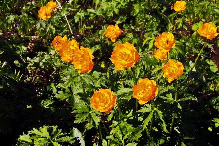 Température et éclairage