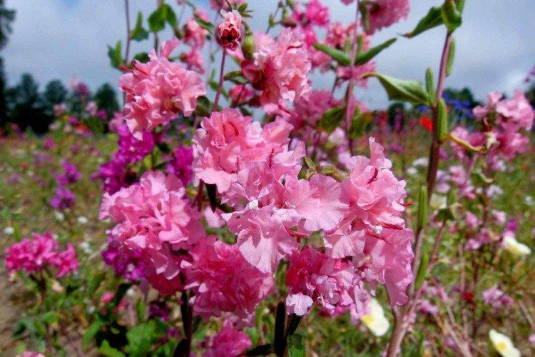 informations générales