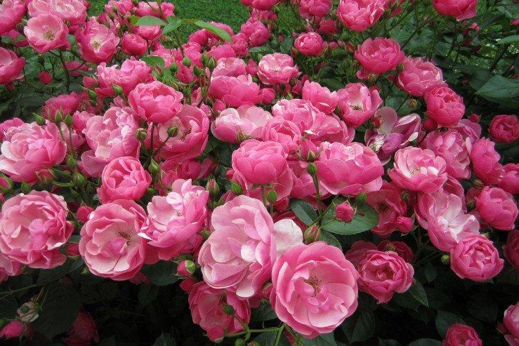 Température et éclairage