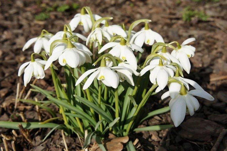 Engrais et alimentation