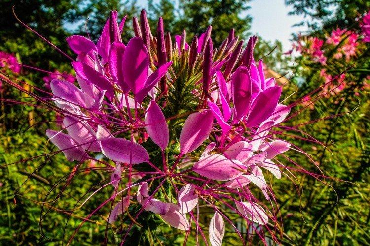 informations générales