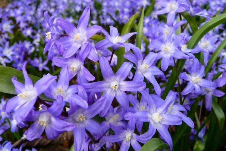 informations générales