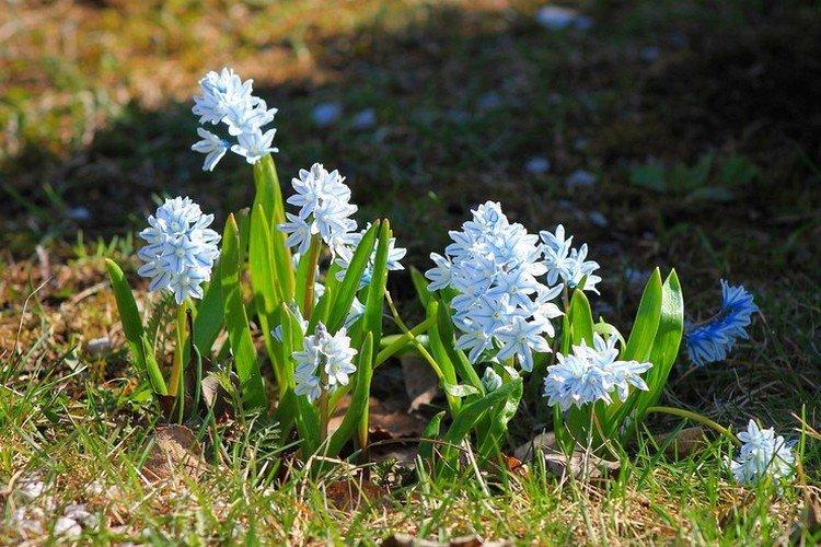 Température et éclairage