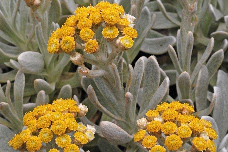 Engrais et alimentation