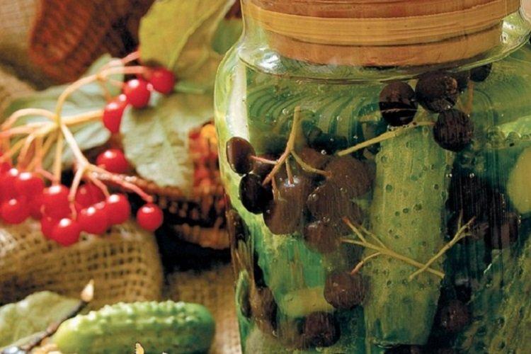 Concombres croustillants au miel et au sorbier