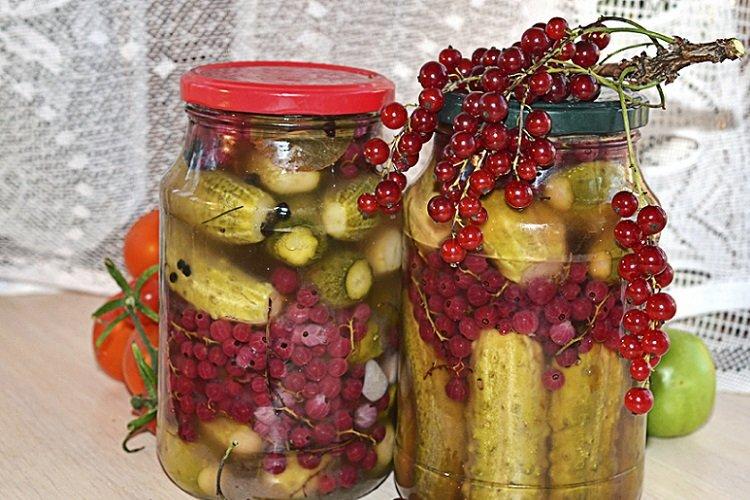 Concombres aux groseilles rouges pour l'hiver