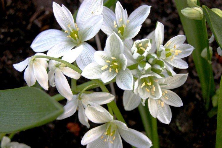 Engrais et alimentation