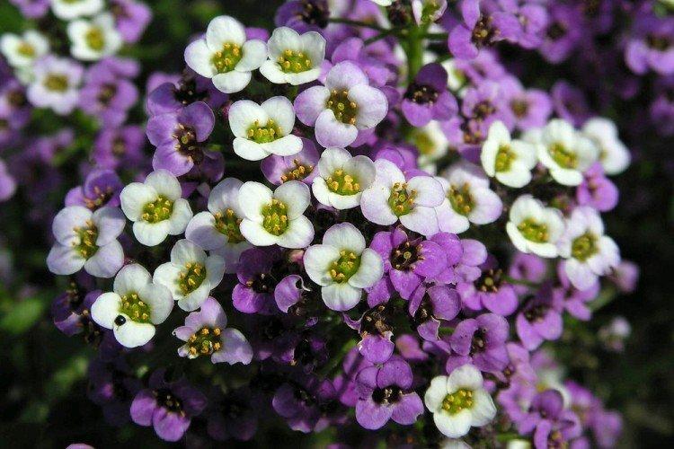 informations générales