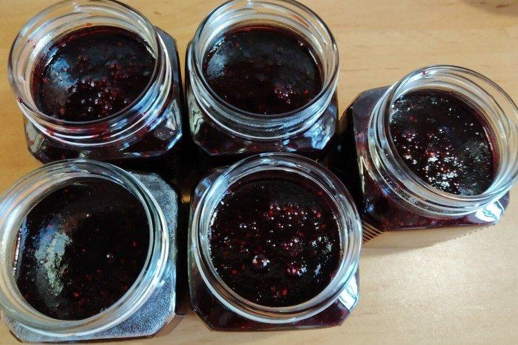 Confiture de chèvrefeuille au fructose